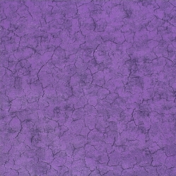 Фаджио фиолетовые компаньон